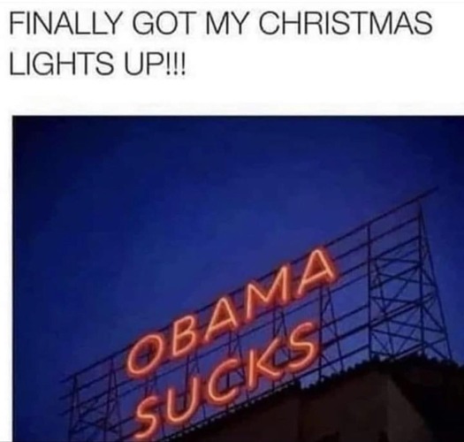 I FINALLY got my Christmas lights up! | image tagged in christmas lights,obama sucks | made w/ Imgflip meme maker