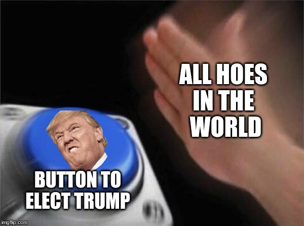 Blank Nut Button | ALL HOES 
IN THE 
WORLD; BUTTON TO
ELECT TRUMP | image tagged in memes,blank nut button | made w/ Imgflip meme maker