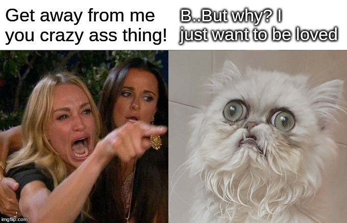 Lady screaming at wilfred | Get away from me you crazy ass thing! B..But why? I just want to be loved | image tagged in lady screams at cat | made w/ Imgflip meme maker
