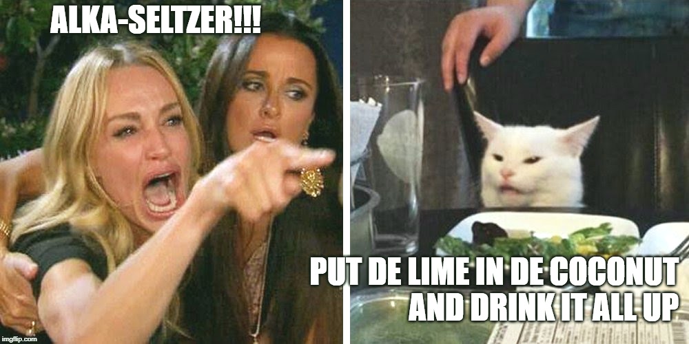 Smudge the cat | ALKA-SELTZER!!! PUT DE LIME IN DE COCONUT
 AND DRINK IT ALL UP | image tagged in smudge the cat | made w/ Imgflip meme maker