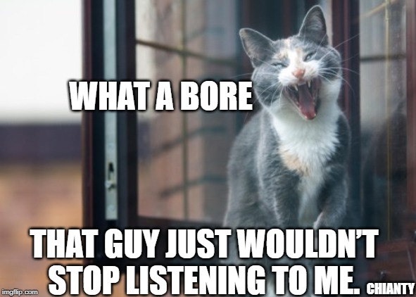 Bore | WHAT A BORE; THAT GUY JUST WOULDN’T STOP LISTENING TO ME. CHIANTY | image tagged in stop | made w/ Imgflip meme maker