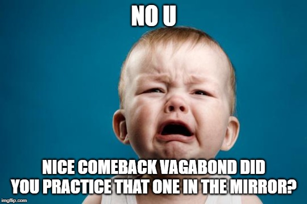 BABY CRYING | NO U NICE COMEBACK VAGABOND DID YOU PRACTICE THAT ONE IN THE MIRROR? | image tagged in baby crying | made w/ Imgflip meme maker