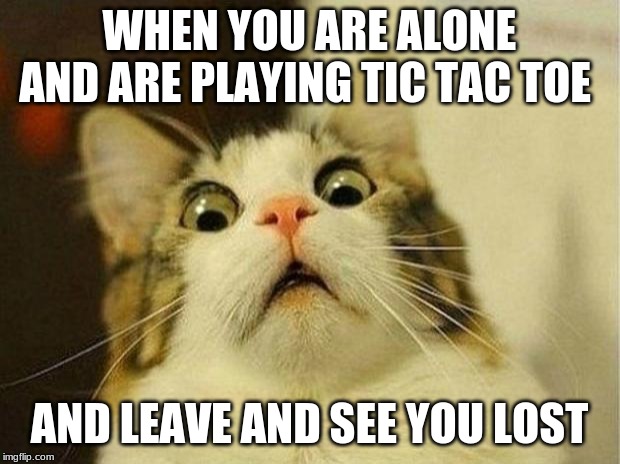 Scared Cat | WHEN YOU ARE ALONE AND ARE PLAYING TIC TAC TOE; AND LEAVE AND SEE YOU LOST | image tagged in memes,scared cat | made w/ Imgflip meme maker