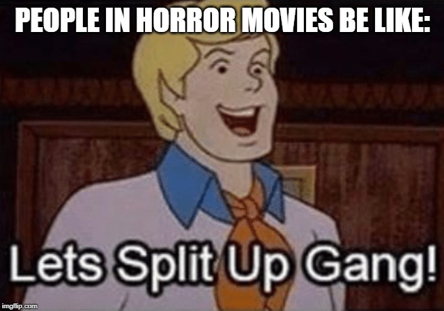 Let’s split up hang! | PEOPLE IN HORROR MOVIES BE LIKE: | image tagged in lets split up hang | made w/ Imgflip meme maker