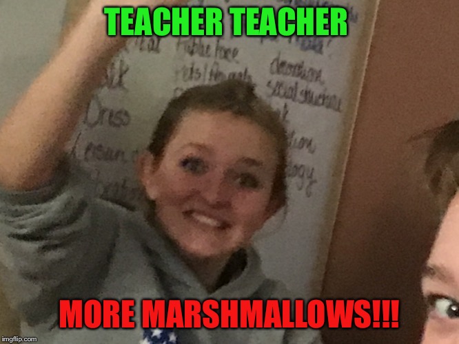 I love marshmallows | TEACHER TEACHER; MORE MARSHMALLOWS!!! | image tagged in funny memes | made w/ Imgflip meme maker