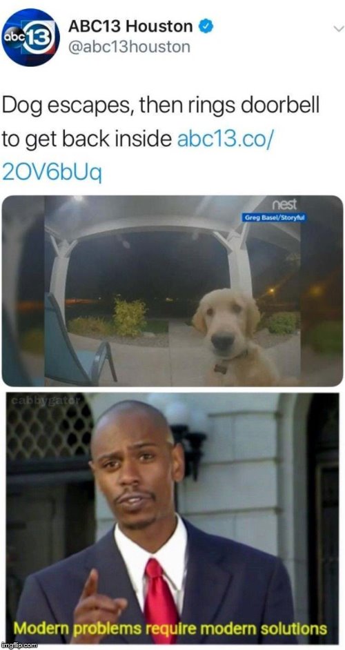 Doggo Escape | image tagged in modern problems,escape,doors,rings,dogs | made w/ Imgflip meme maker