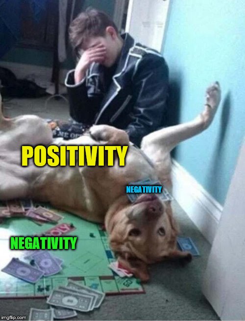 Paws-itivity | POSITIVITY; NEGATIVITY; NEGATIVITY | image tagged in dogs,positivity,negativity | made w/ Imgflip meme maker
