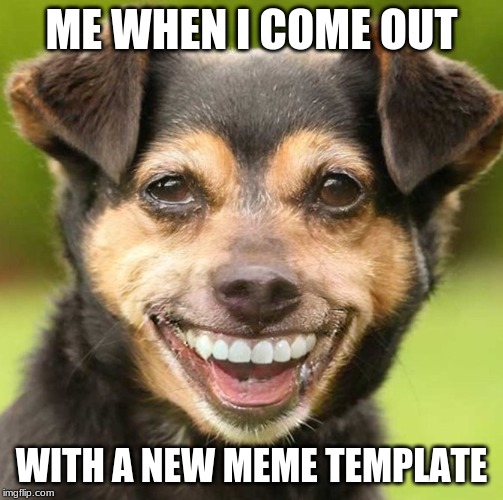 Teeth Dog | ME WHEN I COME OUT; WITH A NEW MEME TEMPLATE | image tagged in teeth dog | made w/ Imgflip meme maker
