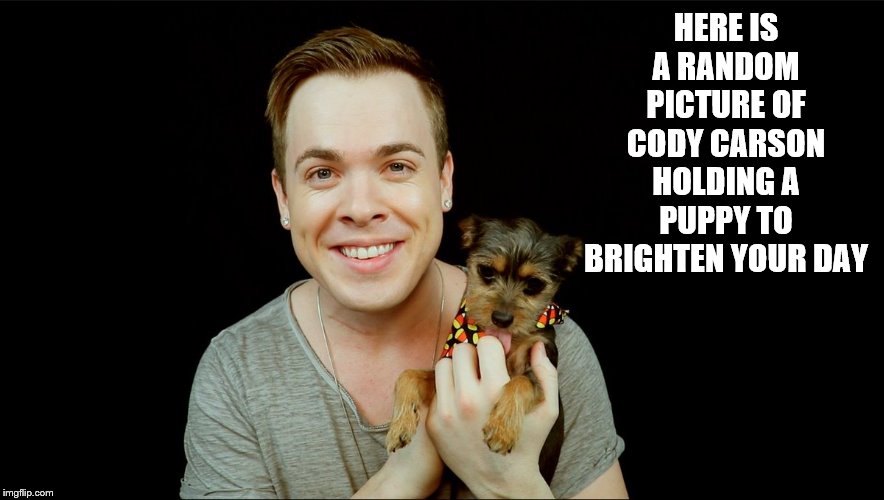 This always brightens my day. :) | HERE IS A RANDOM PICTURE OF CODY CARSON HOLDING A PUPPY TO BRIGHTEN YOUR DAY | image tagged in cody,dogs,adorable,handsome,singer | made w/ Imgflip meme maker