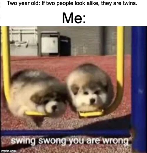 Two year olds be like | Two year old: If two people look alike, they are twins. Me: | image tagged in swing swong you are wrong | made w/ Imgflip meme maker