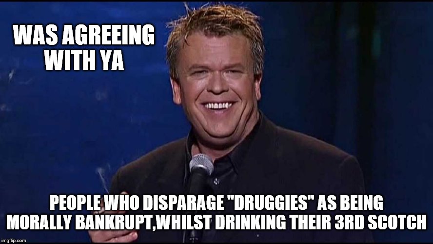 Ron White | WAS AGREEING WITH YA PEOPLE WHO DISPARAGE "DRUGGIES" AS BEING MORALLY BANKRUPT,WHILST DRINKING THEIR 3RD SCOTCH | image tagged in ron white | made w/ Imgflip meme maker