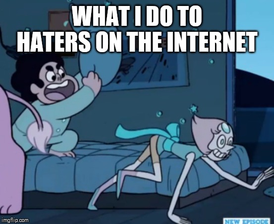 Steven Universe | WHAT I DO TO HATERS ON THE INTERNET | image tagged in steven universe | made w/ Imgflip meme maker