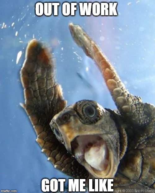 Happy Turtle | OUT OF WORK; GOT ME LIKE | image tagged in happy turtle | made w/ Imgflip meme maker