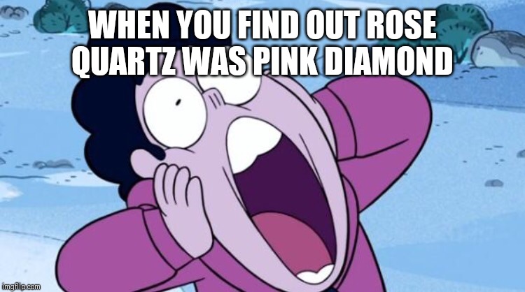 Steven Universe NOOO | WHEN YOU FIND OUT ROSE QUARTZ WAS PINK DIAMOND | image tagged in steven universe nooo | made w/ Imgflip meme maker