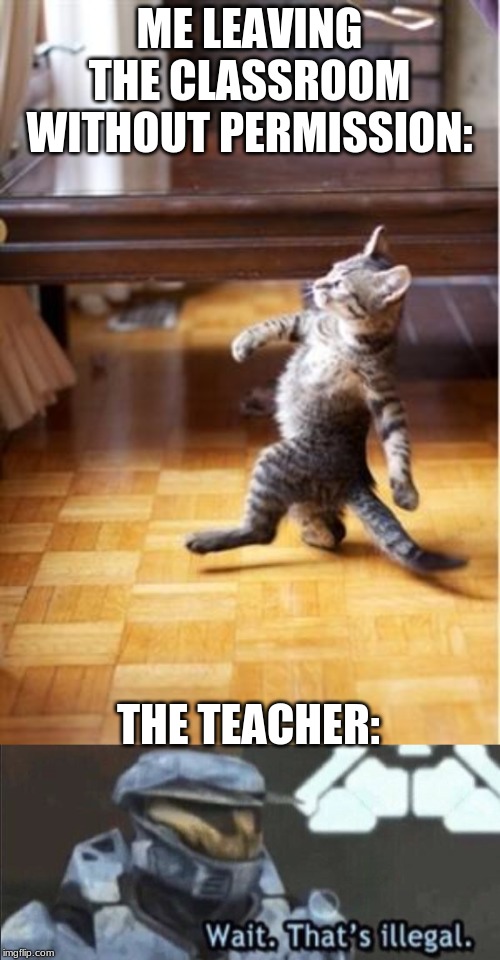 ME LEAVING THE CLASSROOM WITHOUT PERMISSION:; THE TEACHER: | image tagged in walking cat,wait thats illegal | made w/ Imgflip meme maker