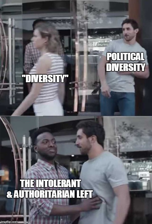 Diversity | POLITICAL DIVERSITY; "DIVERSITY"; THE INTOLERANT & AUTHORITARIAN LEFT | image tagged in political memes,diversity,intolerance,leftists,gillette commercial,regressive left | made w/ Imgflip meme maker