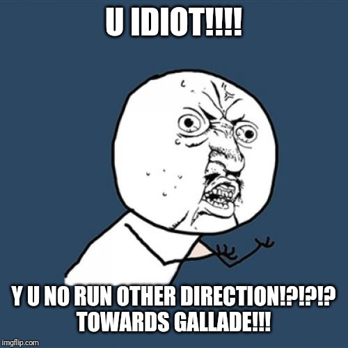 Y U No Meme | U IDIOT!!!! Y U NO RUN OTHER DIRECTION!?!?!?
TOWARDS GALLADE!!! | image tagged in memes,y u no | made w/ Imgflip meme maker