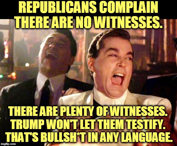 If you haven't seen any evidence, it's because Fox News won't show it. Everybody who doesn't watch Fox has already seen it. | REPUBLICANS COMPLAIN THERE ARE NO WITNESSES. THERE ARE PLENTY OF WITNESSES. 

TRUMP WON'T LET THEM TESTIFY. 
THAT'S BULLSH*T IN ANY LANGUAGE. | image tagged in goodfellas laugh,witnesses,trump,obstruction,bullshit | made w/ Imgflip meme maker