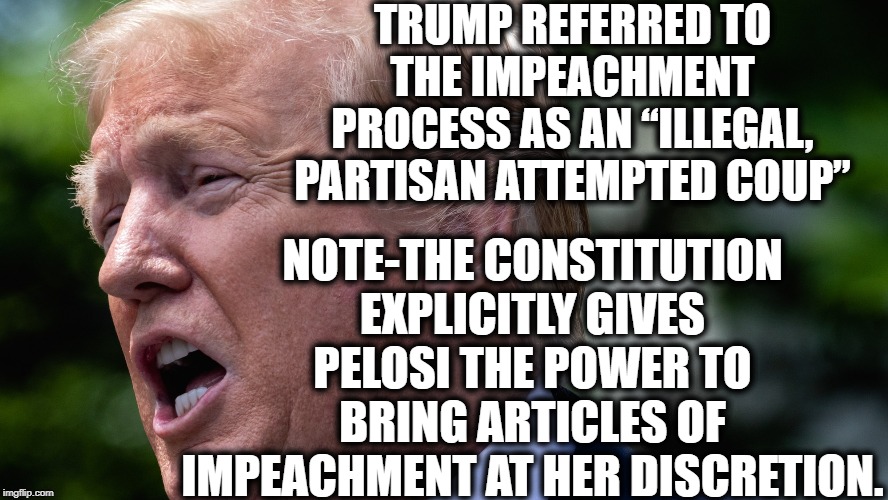 That's gotta sting. | TRUMP REFERRED TO THE IMPEACHMENT PROCESS AS AN “ILLEGAL, PARTISAN ATTEMPTED COUP”; NOTE-THE CONSTITUTION EXPLICITLY GIVES PELOSI THE POWER TO BRING ARTICLES OF IMPEACHMENT AT HER DISCRETION. | image tagged in donald trump,impeach trump,nancy pelosi,impeachment,constitution,moron | made w/ Imgflip meme maker