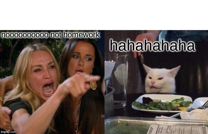 Woman Yelling At Cat Meme | noooooooooo not homework; hahahahaha | image tagged in memes,woman yelling at cat | made w/ Imgflip meme maker