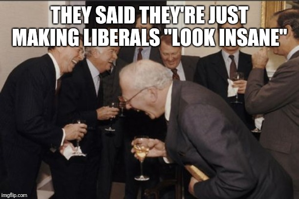 Laughing Men In Suits Meme | THEY SAID THEY'RE JUST MAKING LIBERALS "LOOK INSANE" | image tagged in memes,laughing men in suits | made w/ Imgflip meme maker
