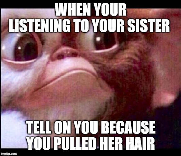 Gizmo | WHEN YOUR LISTENING TO YOUR SISTER; TELL ON YOU BECAUSE YOU PULLED HER HAIR | image tagged in gizmo | made w/ Imgflip meme maker
