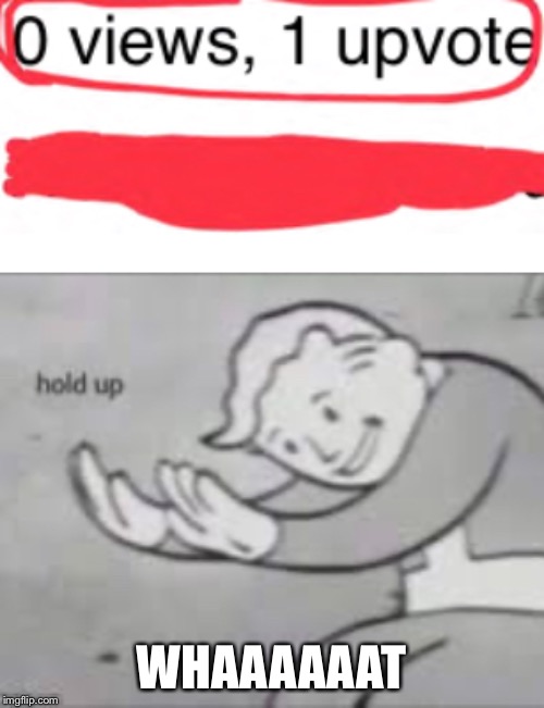 WHAAAAAAT | image tagged in fallout hold up | made w/ Imgflip meme maker