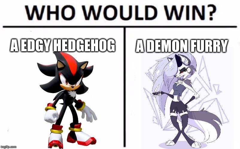 Shadow's Edgiest meme | A EDGY HEDGEHOG; A DEMON FURRY | image tagged in memes,who would win,sonic the hedgehog | made w/ Imgflip meme maker