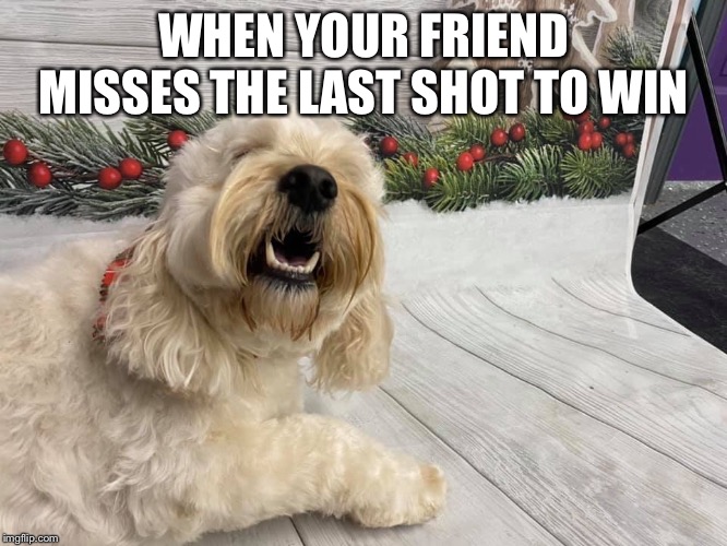 WHEN YOUR FRIEND MISSES THE LAST SHOT TO WIN | image tagged in bad pun dog | made w/ Imgflip meme maker