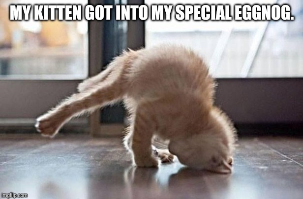 yoga kitty | MY KITTEN GOT INTO MY SPECIAL EGGNOG. | image tagged in yoga kitty | made w/ Imgflip meme maker
