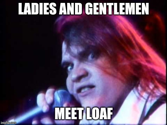 Meat Loaf | LADIES AND GENTLEMEN MEET LOAF | image tagged in meat loaf | made w/ Imgflip meme maker