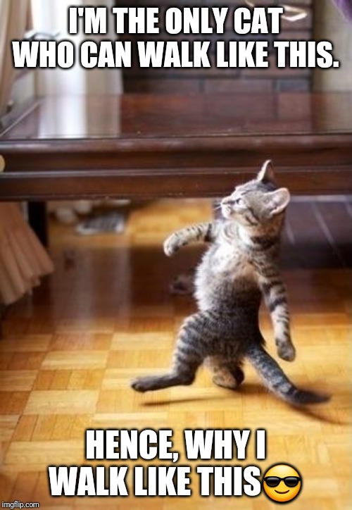 Cool Cat Stroll | I'M THE ONLY CAT WHO CAN WALK LIKE THIS. HENCE, WHY I WALK LIKE THIS😎 | image tagged in memes,cool cat stroll | made w/ Imgflip meme maker