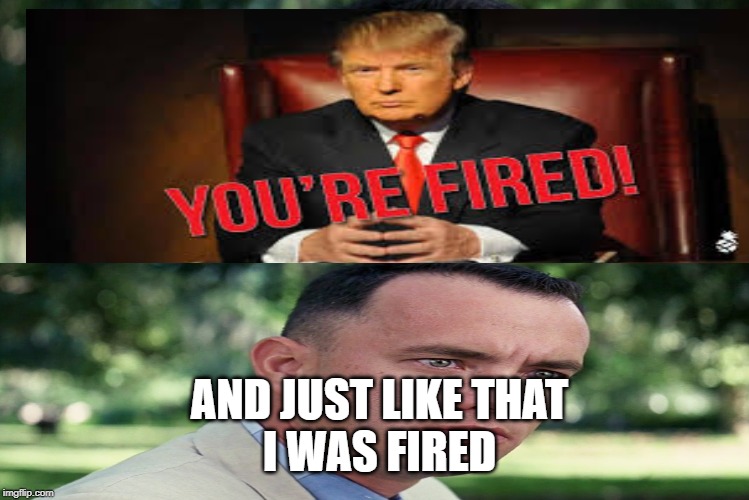 AND JUST LIKE THAT
I WAS FIRED | image tagged in and just like that | made w/ Imgflip meme maker