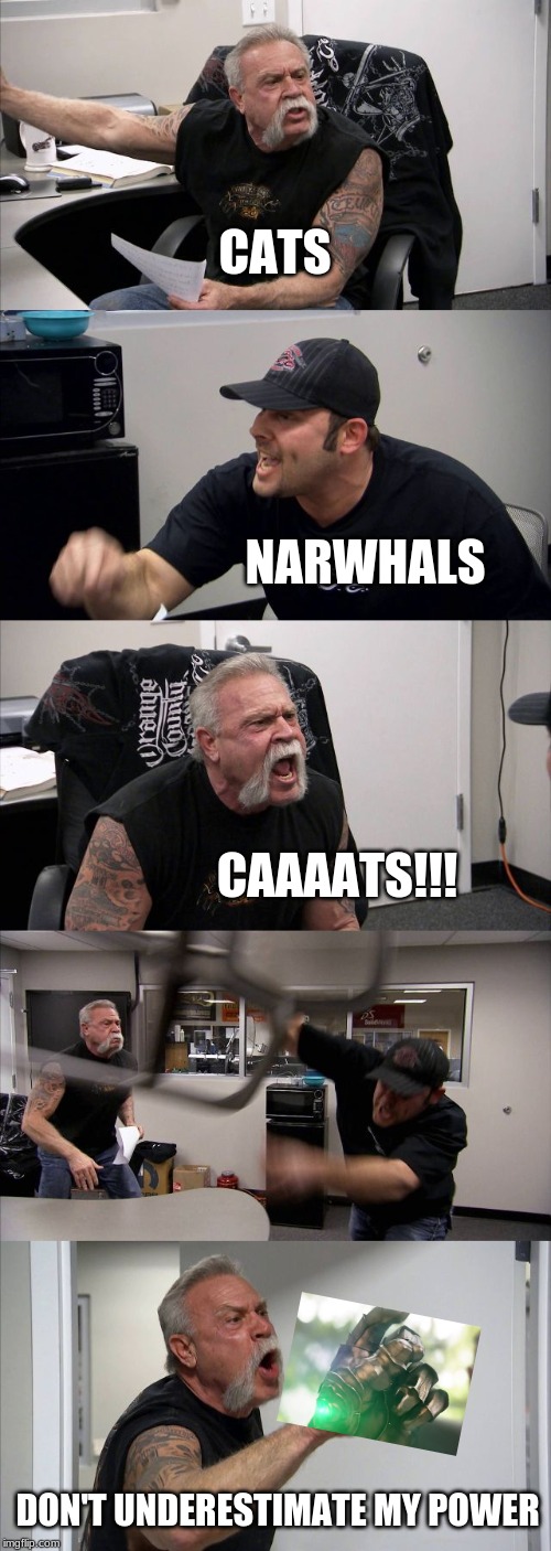 American Chopper Argument | CATS; NARWHALS; CAAAATS!!! DON'T UNDERESTIMATE MY POWER | image tagged in memes,american chopper argument | made w/ Imgflip meme maker