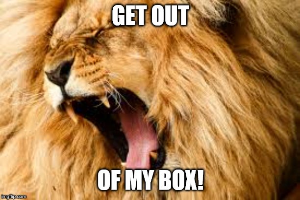 Lion roaring | GET OUT OF MY BOX! | image tagged in lion roaring | made w/ Imgflip meme maker