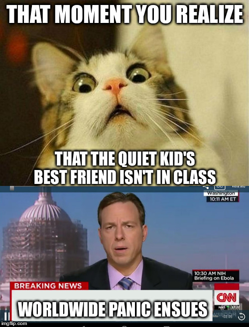 THAT MOMENT YOU REALIZE; THAT THE QUIET KID'S BEST FRIEND ISN'T IN CLASS; WORLDWIDE PANIC ENSUES | image tagged in memes,scared cat,cnn breaking news template | made w/ Imgflip meme maker