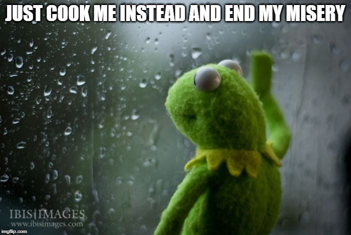 kermit window | JUST COOK ME INSTEAD AND END MY MISERY | image tagged in kermit window | made w/ Imgflip meme maker