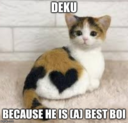 Cute Heart Kitten | DEKU; BECAUSE HE IS (A) BEST BOI | image tagged in cute heart kitten | made w/ Imgflip meme maker
