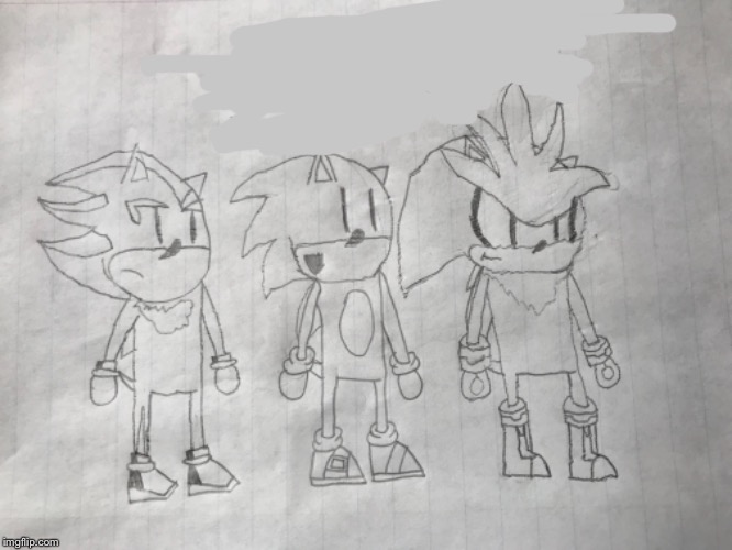 The Three Hedgehog Heroes | image tagged in silver,shadow,sonic,sega | made w/ Imgflip meme maker