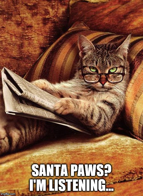 cat reading | SANTA PAWS?
I'M LISTENING... | image tagged in cat reading | made w/ Imgflip meme maker