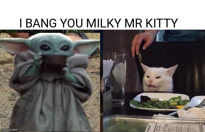 Woman Yelling At Cat | I BANG YOU MILKY MR KITTY | image tagged in memes,woman yelling at cat | made w/ Imgflip meme maker