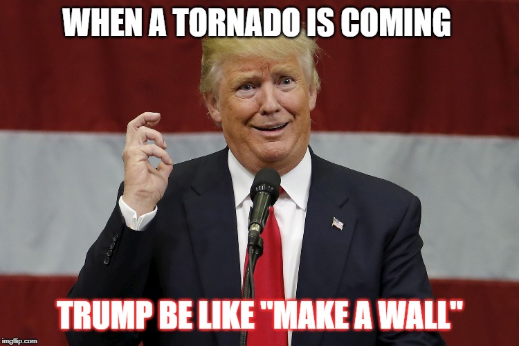 twat trumo | WHEN A TORNADO IS COMING; TRUMP BE LIKE "MAKE A WALL" | image tagged in twat trumo | made w/ Imgflip meme maker