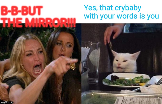 Woman Yelling At Cat Meme | B-B-BUT THE MIRROR!!! Yes, that crybaby with your words is you | image tagged in memes,woman yelling at cat | made w/ Imgflip meme maker