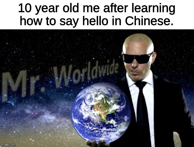 I am fluent in over six million forms of communication | 10 year old me after learning how to say hello in Chinese. | image tagged in memes,mr worldwide,chinese,hello | made w/ Imgflip meme maker