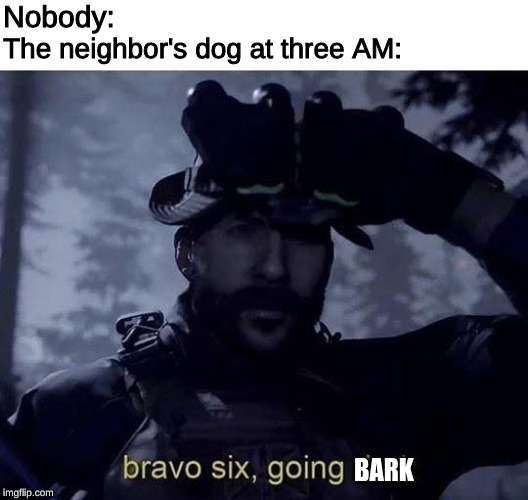 BARKBARKBARKBARKBARKBARKBARK |  Nobody:; The neighbor's dog at three AM:; BARK | image tagged in bravo six going dark,dog,barking,neighbors | made w/ Imgflip meme maker