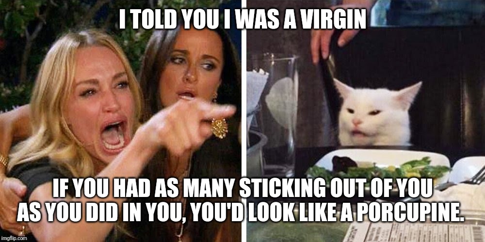 Smudge the cat | I TOLD YOU I WAS A VIRGIN; IF YOU HAD AS MANY STICKING OUT OF YOU AS YOU DID IN YOU, YOU'D LOOK LIKE A PORCUPINE. | image tagged in smudge the cat | made w/ Imgflip meme maker