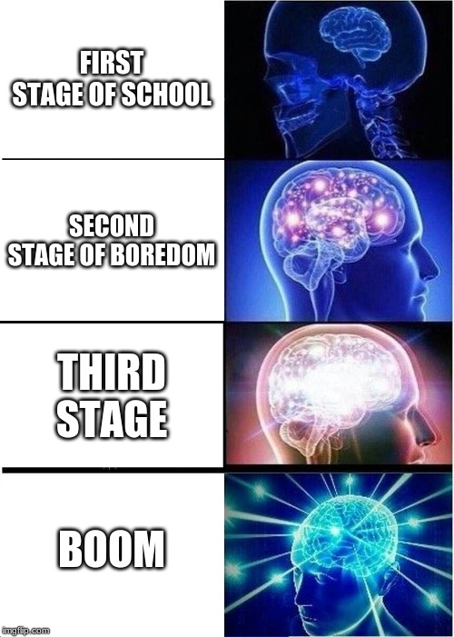 Expanding Brain | FIRST STAGE OF SCHOOL; SECOND STAGE OF BOREDOM; THIRD STAGE; BOOM | image tagged in memes,expanding brain | made w/ Imgflip meme maker