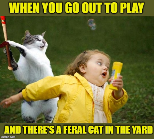 Untamed | WHEN YOU GO OUT TO PLAY; AND THERE'S A FERAL CAT IN THE YARD | image tagged in funny memes,cat memes,cat,wild,chubby bubbles girl,scared | made w/ Imgflip meme maker