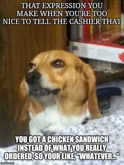 Whatever Dog | THAT EXPRESSION YOU MAKE WHEN YOU'RE TOO NICE TO TELL THE CASHIER THAT; YOU GOT A CHICKEN SANDWICH INSTEAD OF WHAT YOU REALLY ORDERED, SO YOUR LIKE, "WHATEVER..." | image tagged in whatever dog | made w/ Imgflip meme maker