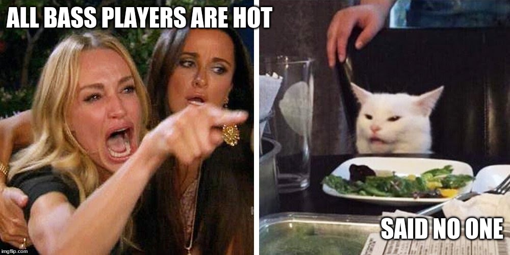 Smudge the cat | ALL BASS PLAYERS ARE HOT; SAID NO ONE | image tagged in smudge the cat | made w/ Imgflip meme maker